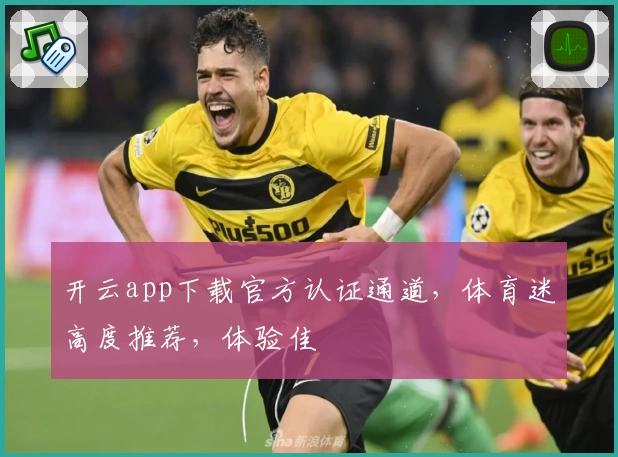 开云app下载官方认证通道，体育迷高度推荐，体验佳